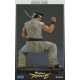 Virtua Fighter 5 Akira Yuki 12 inch Statue 28cm